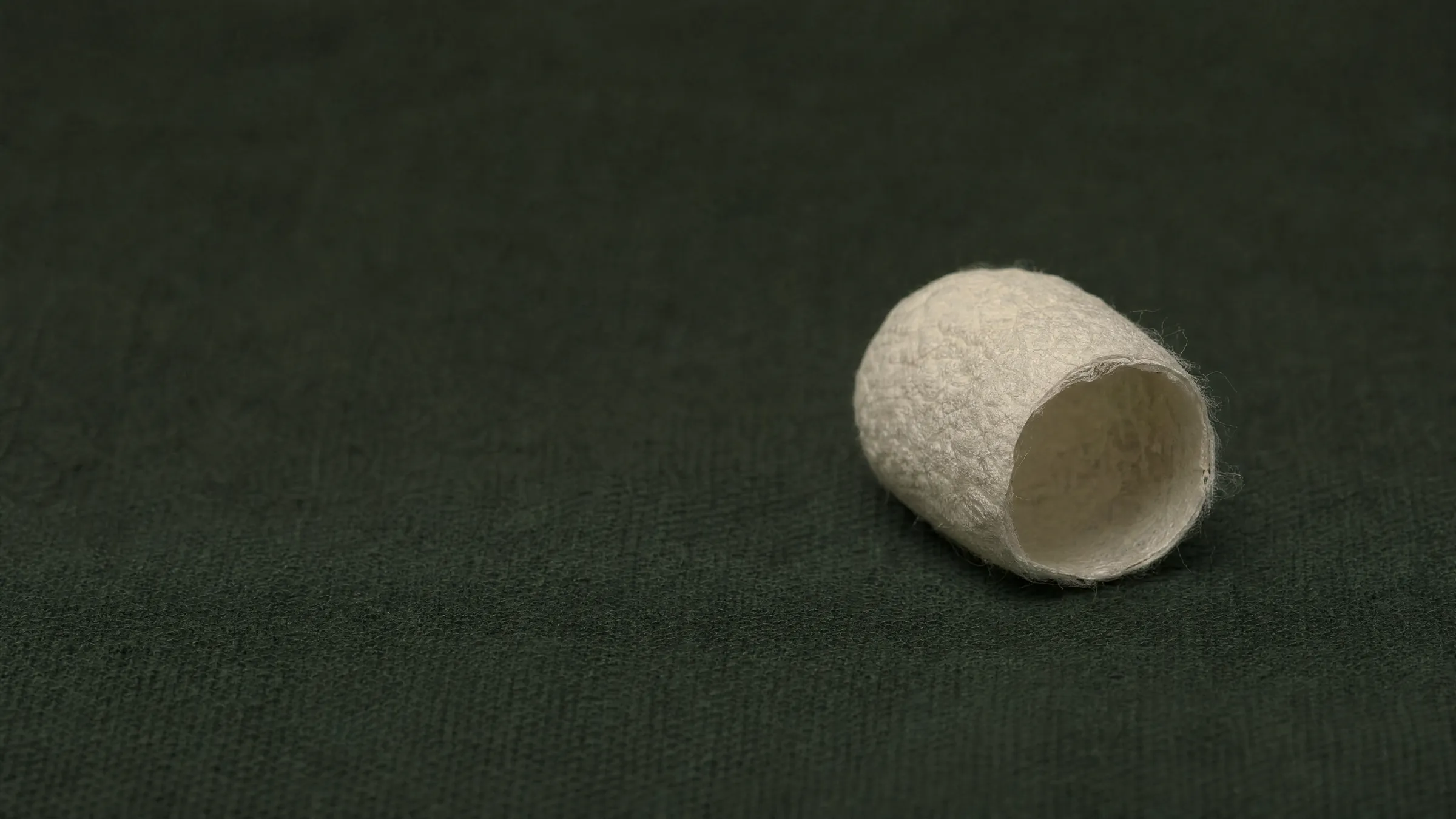 Actual size of a single LUSSOIE cocoon