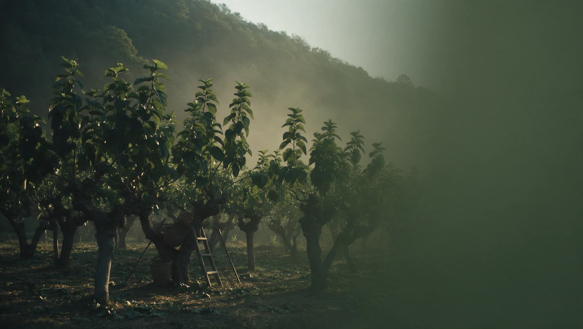 Why Bursa Silk?